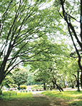 T.K 名古屋地方検察庁検事 2009年度修了生(既修者)