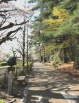 近藤直也